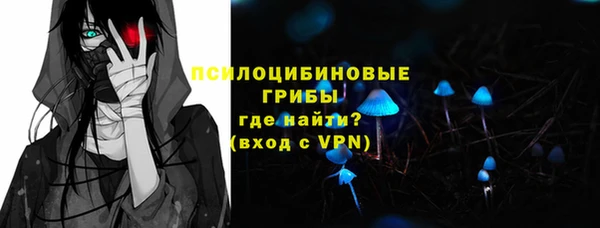 прущая мука Каменка