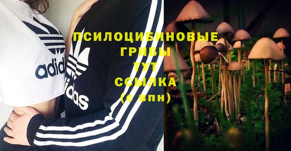 МДПВ Семилуки