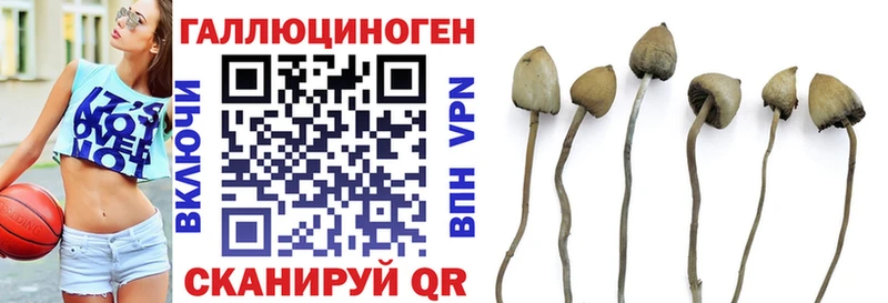 Галлюциногенные грибы GOLDEN TEACHER  Каменка 