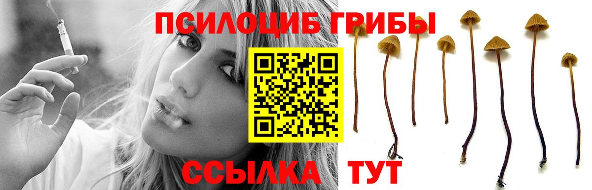 Псилоцибиновые грибы GOLDEN TEACHER  Вход с VPN  Каменка  Галлюциногенные грибы Psilocybine cubensis 